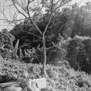 Черно - белая эротика с оттенком романтичности)