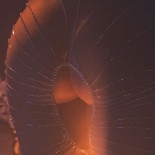 Isha | Ню фото