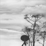 Красивые ню-фото