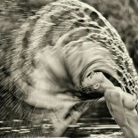 Эротика в лучшем ее виде