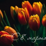 Коллекция ню-фотографий