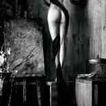 Эротичные красотки, прекрасные и обнаженные тела