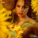 Красиво и манит