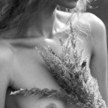 Новая эротика