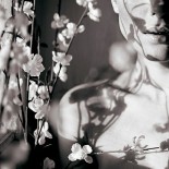 Эротичные фотографии