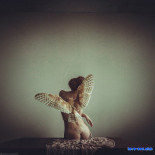 Эротичные фотографии