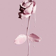 Гладкие попки