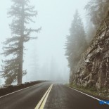 Жгучие попы