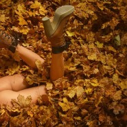 Красивые попы