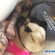 Девочки - картинки