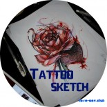 Татуированные и голые девушки